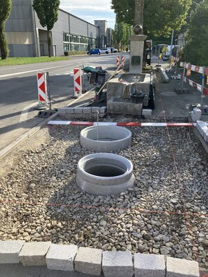 AN_4426_Schwammstadt